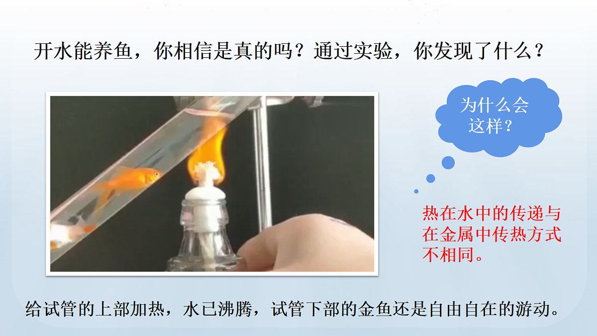 18183528第7页
