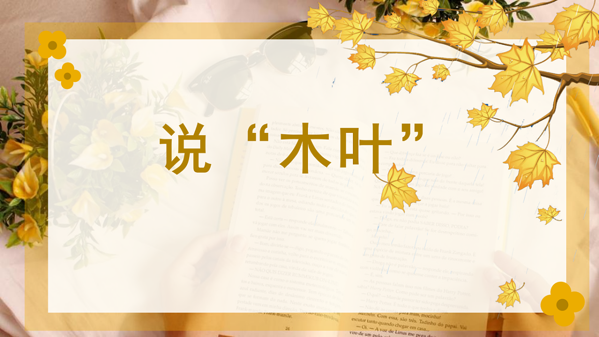 18183732第1页