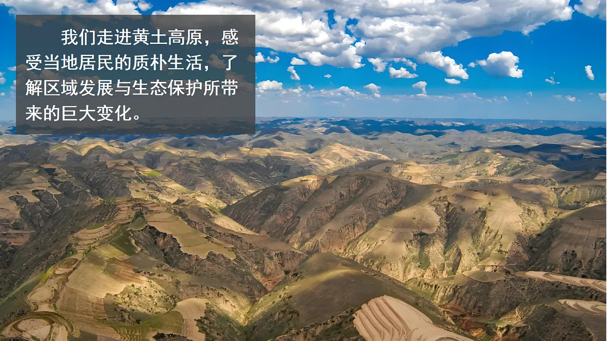 18184264第6页