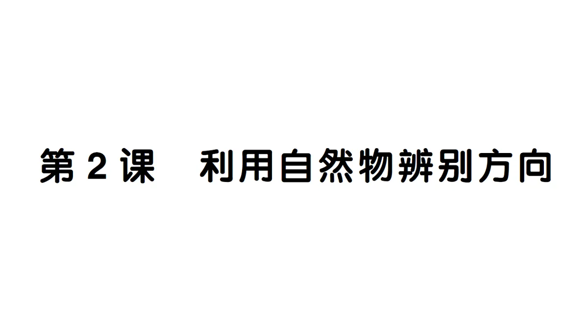18184269第1页