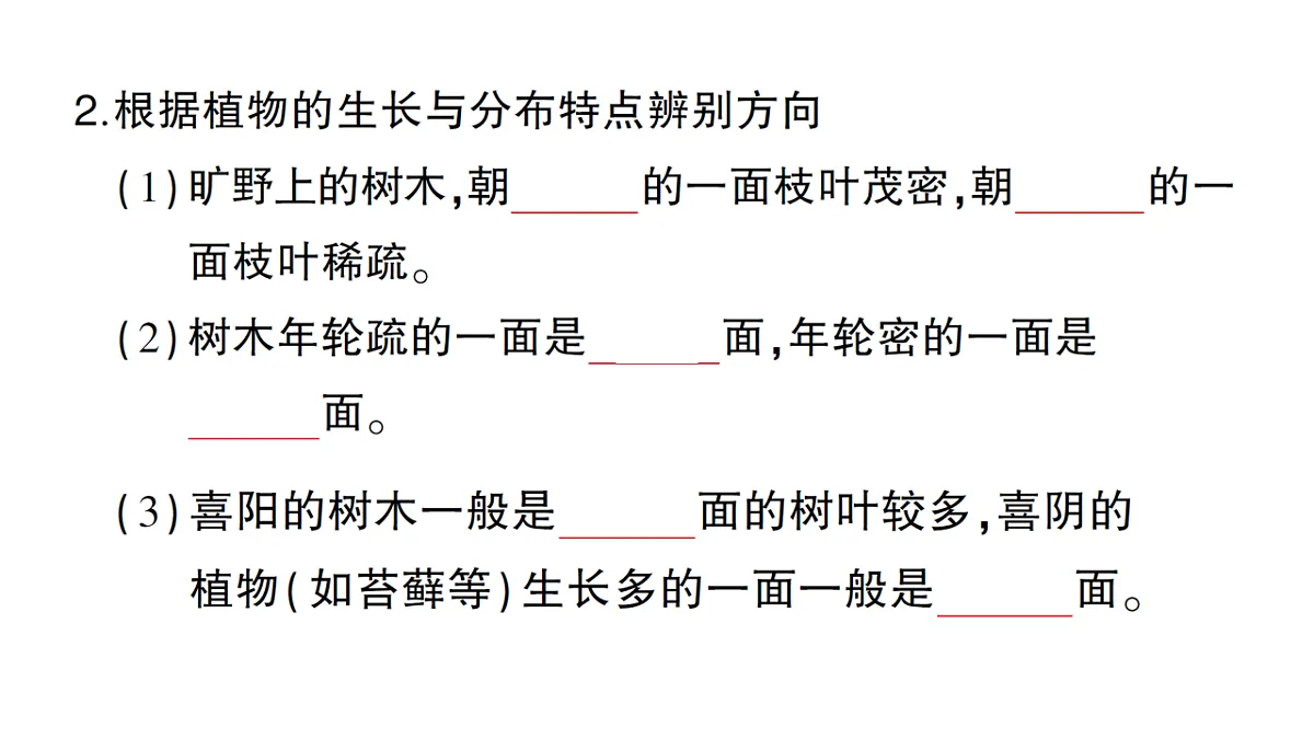 18184269第3页