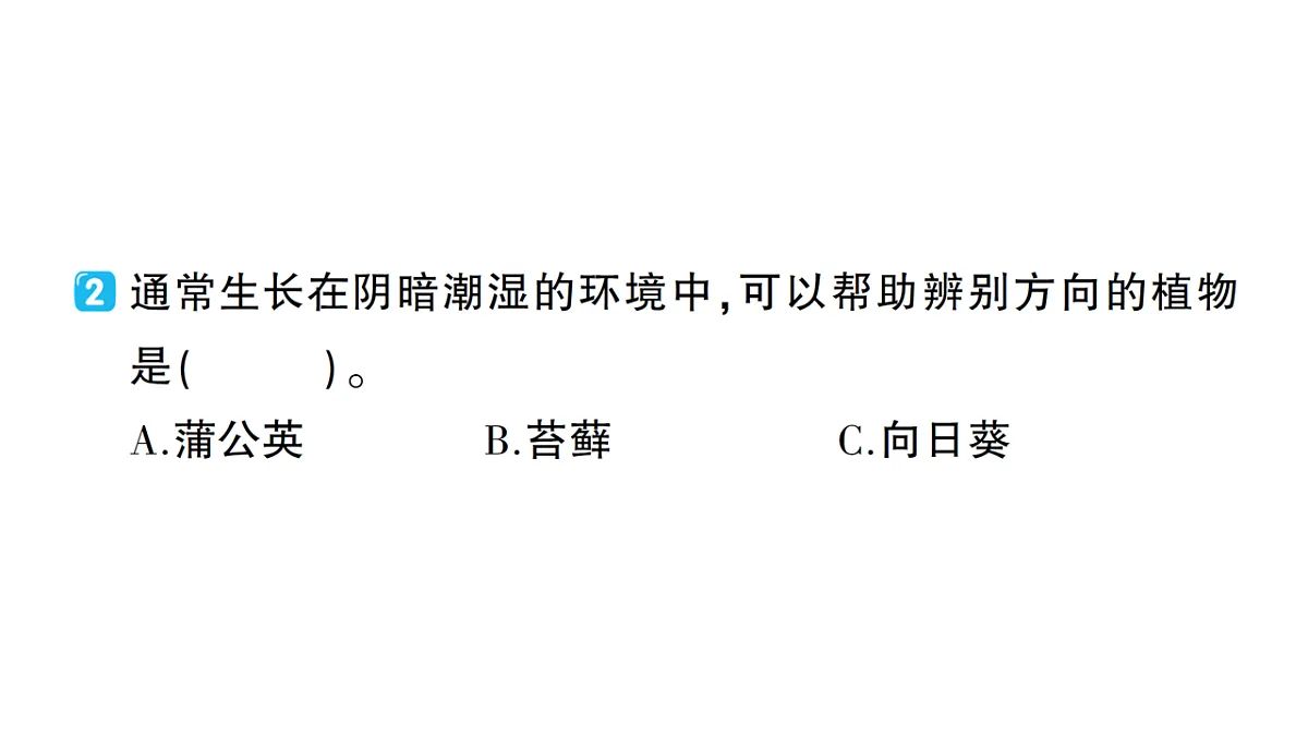 18184269第6页