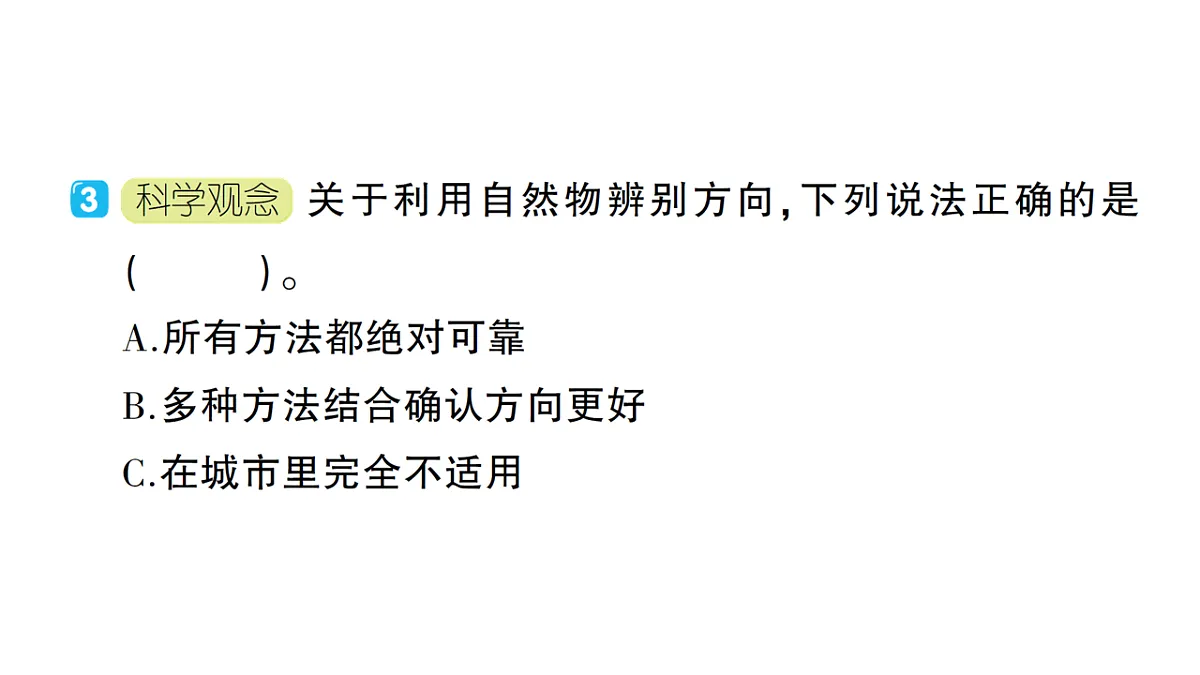 18184269第7页