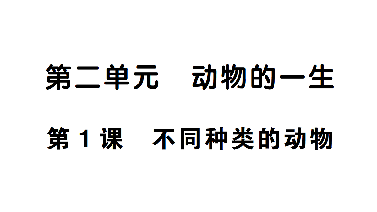 18184284第1页
