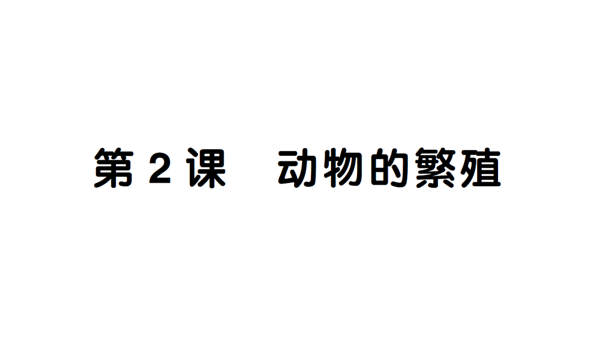 18184285第1页