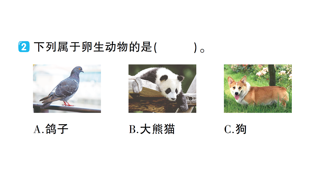 18184285第4页