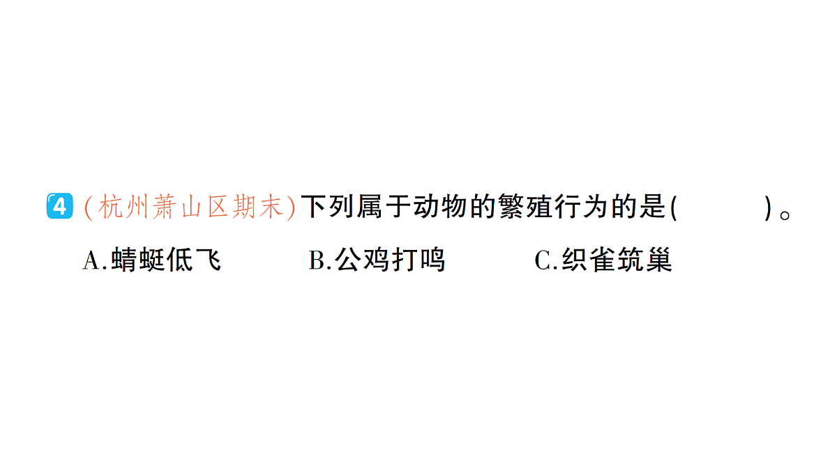 18184285第6页