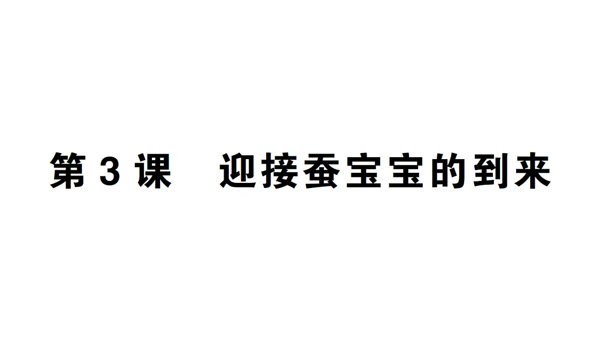 18184288第1页