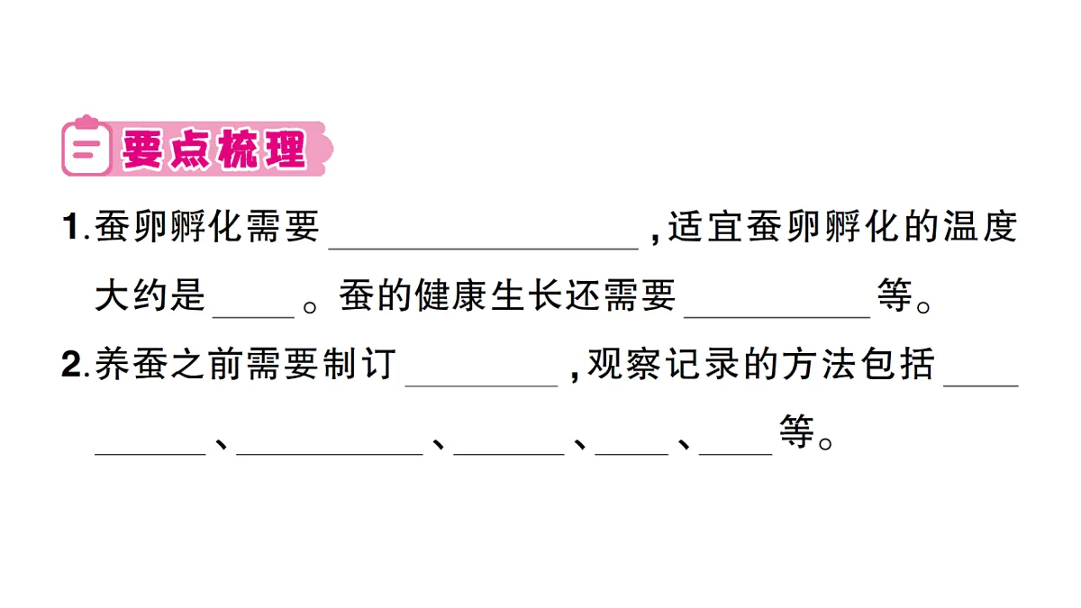 18184288第2页