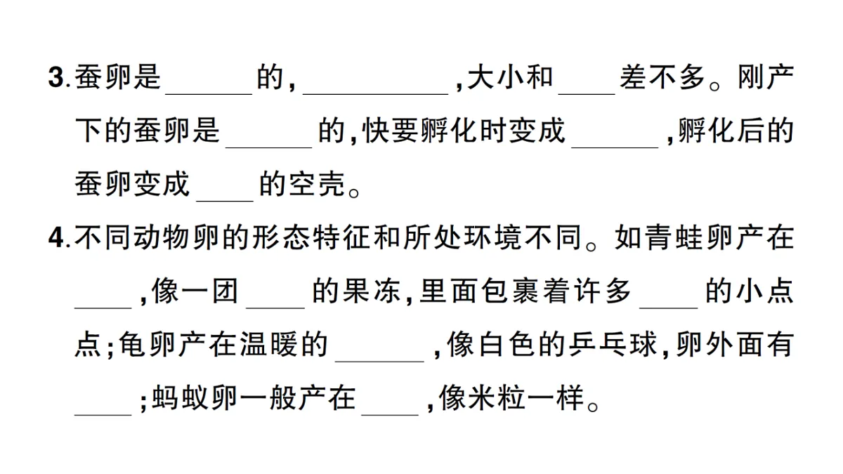 18184288第3页