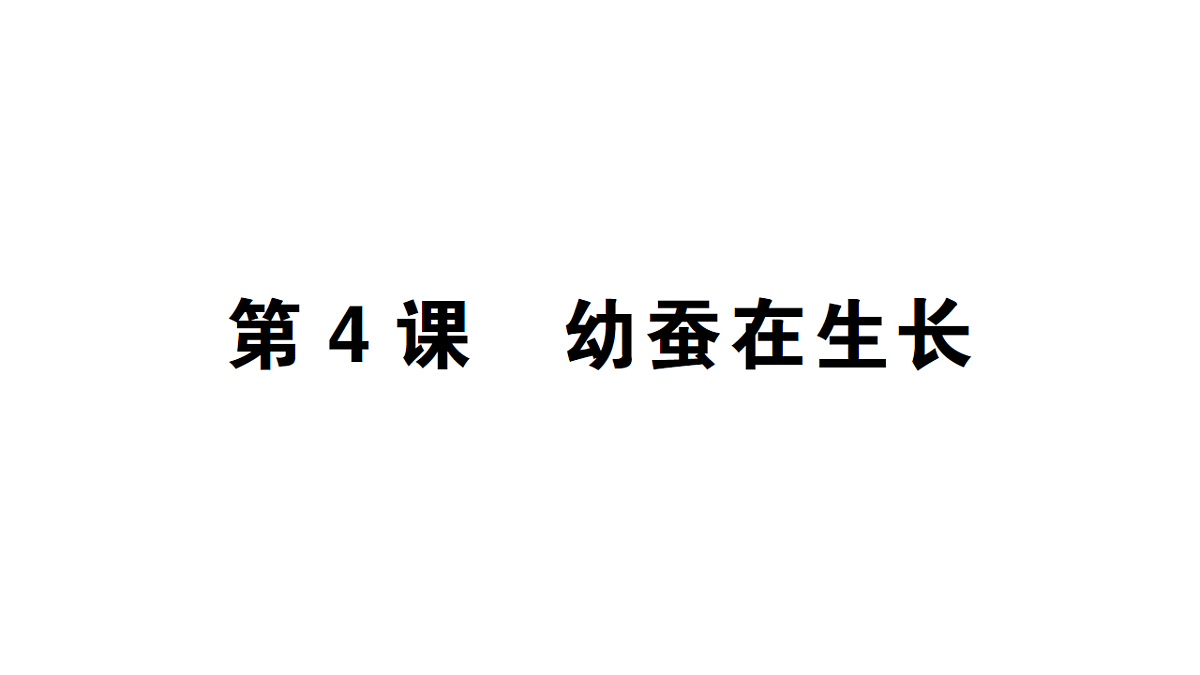 18184290第1页