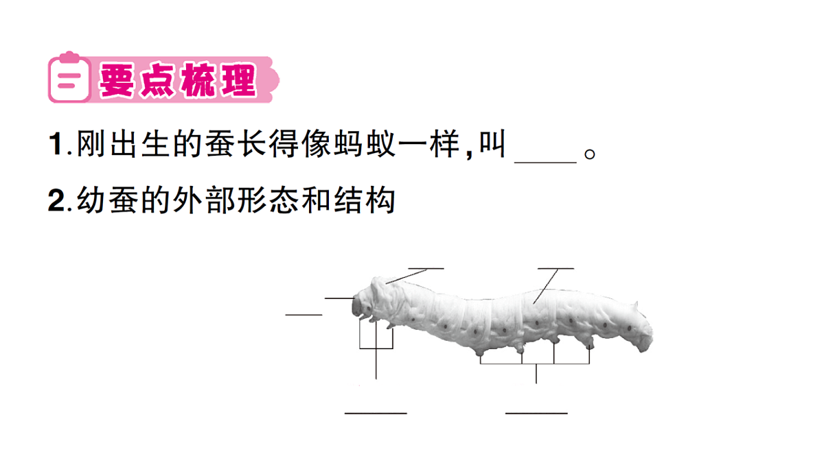 18184290第2页