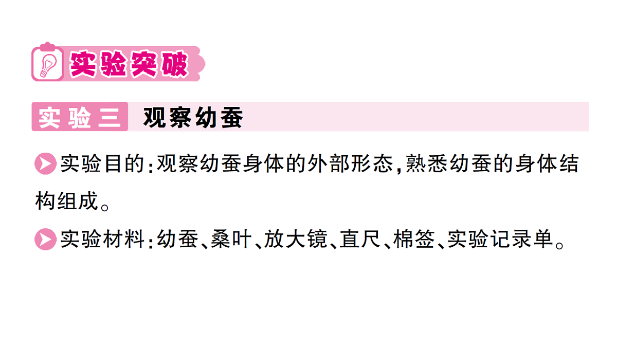18184290第4页