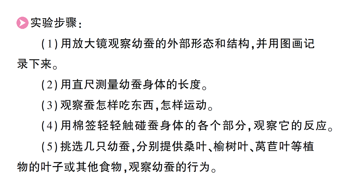 18184290第5页