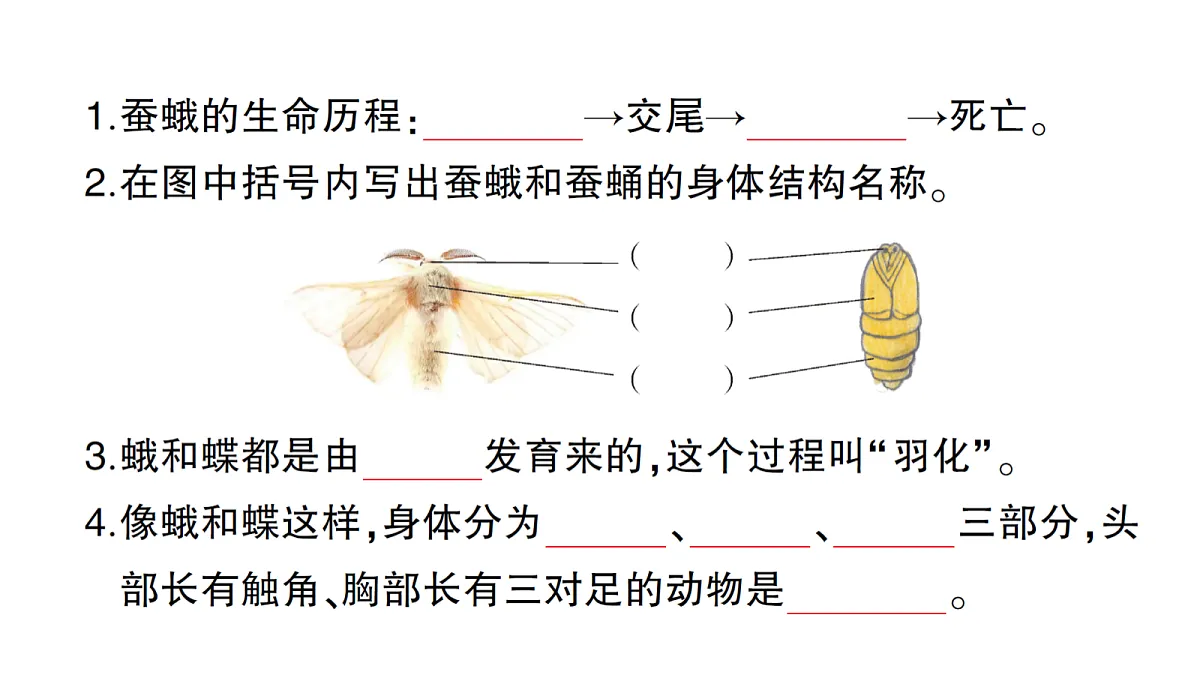 18184293第2页