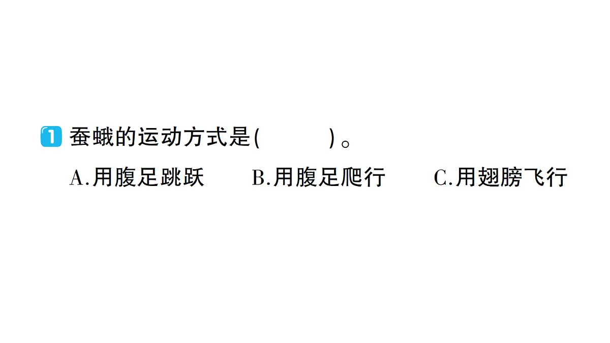 18184293第3页
