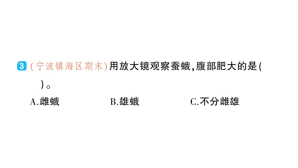 18184293第5页