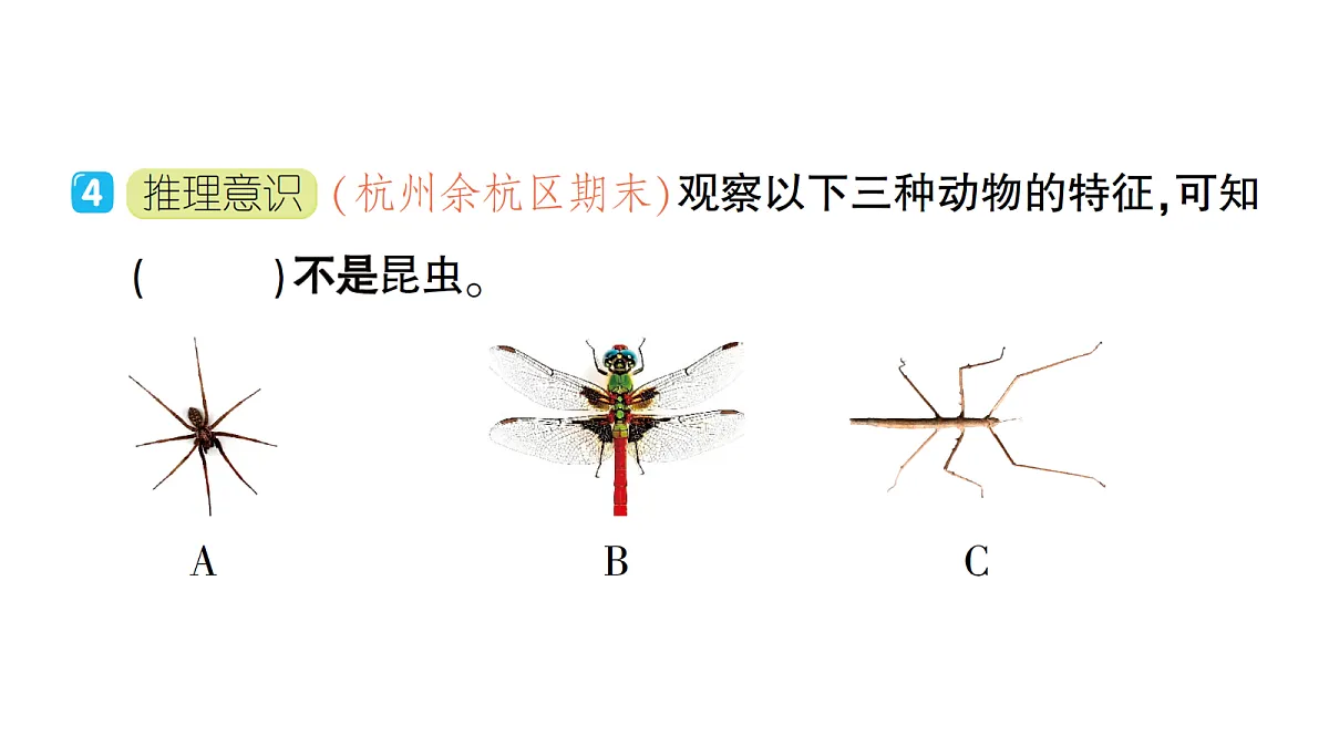 18184293第6页