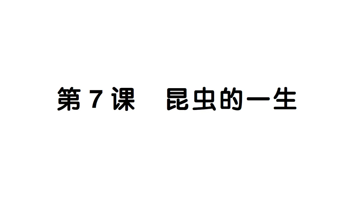 18184295第1页