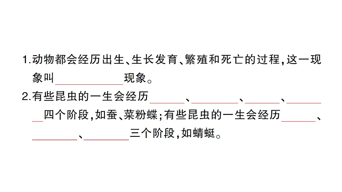 18184295第2页