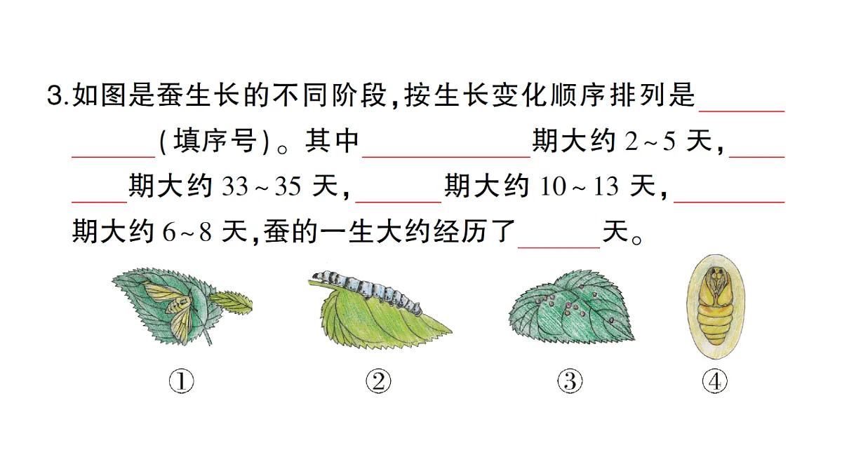 18184295第3页