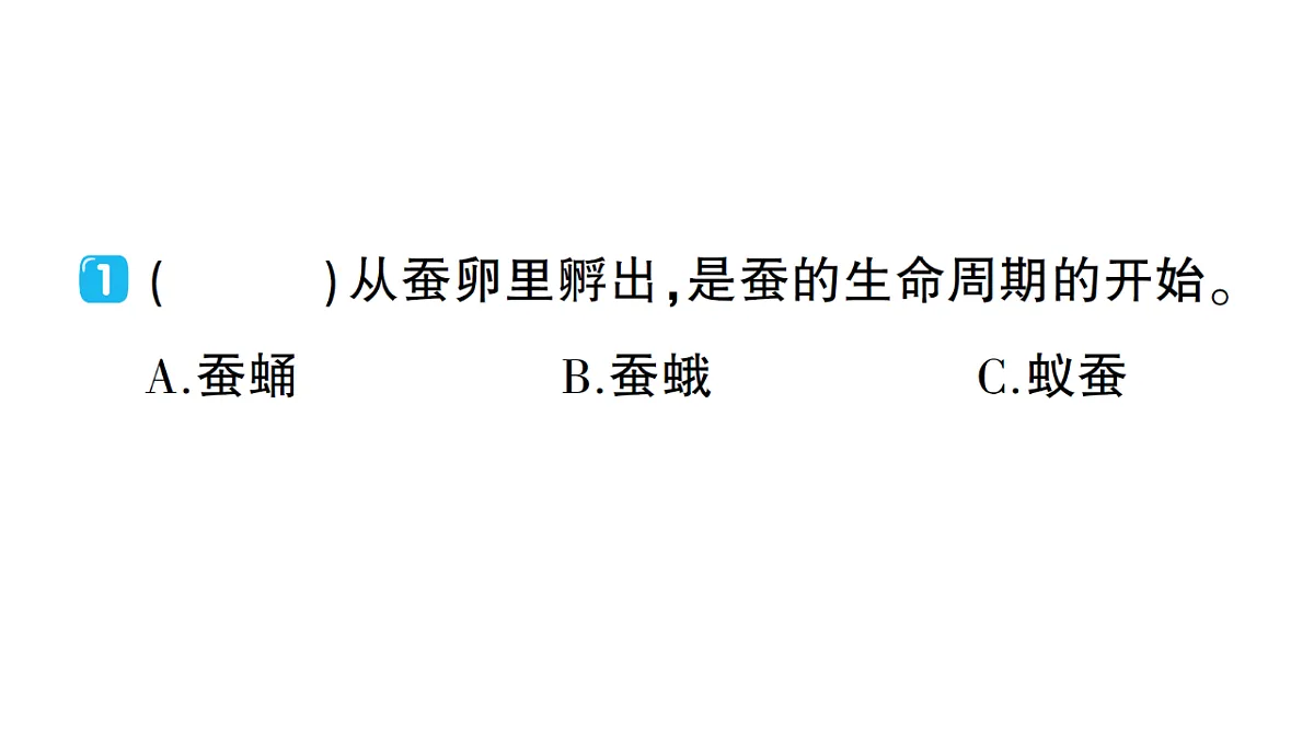 18184295第4页