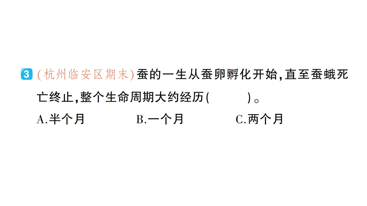18184295第6页