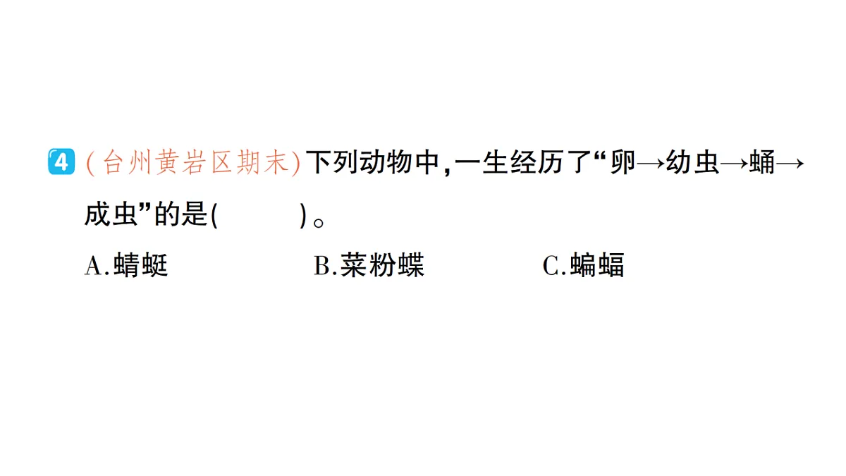 18184295第7页
