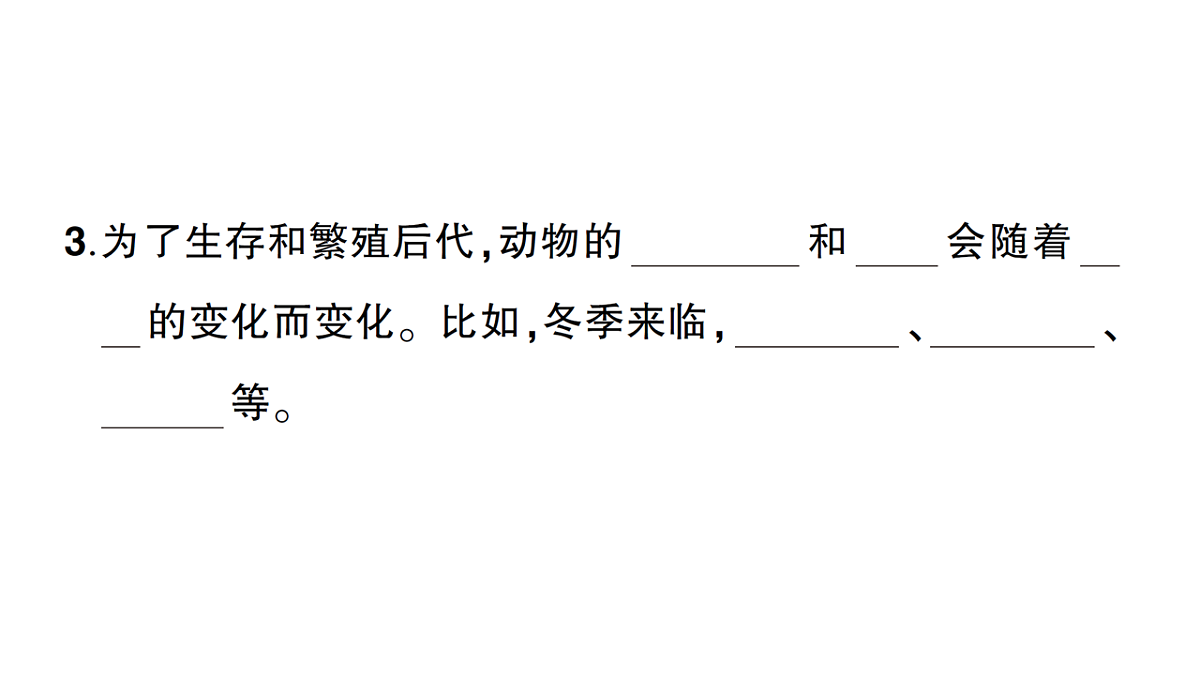 18184298第3页