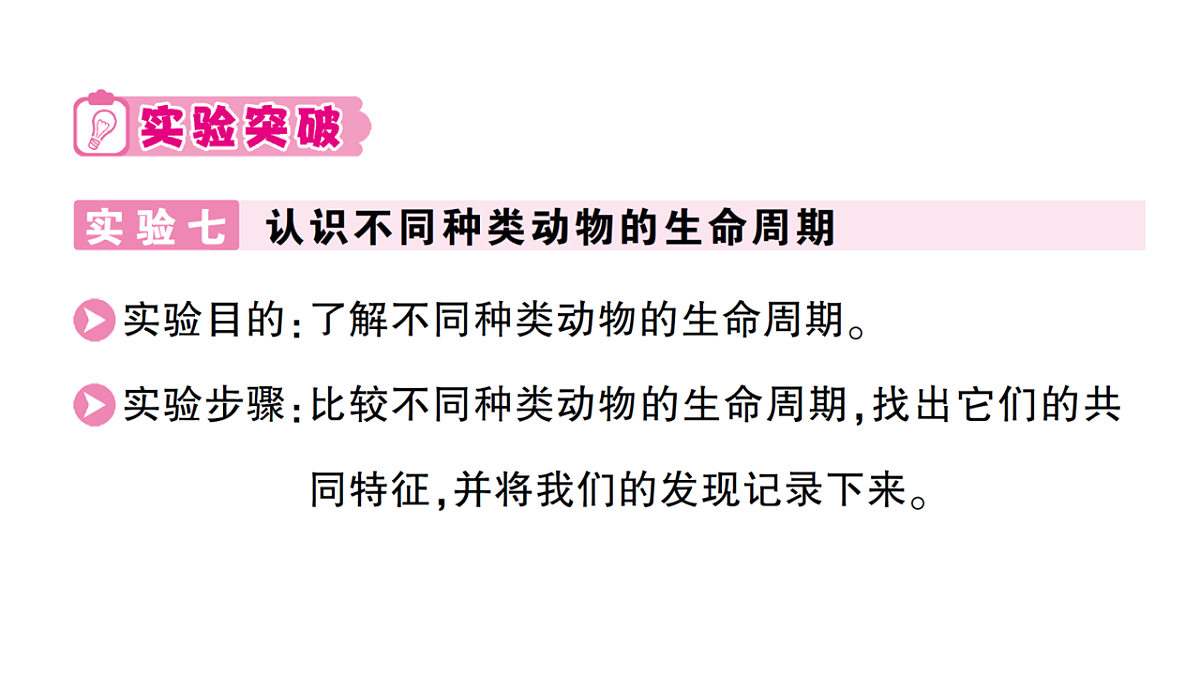 18184298第4页