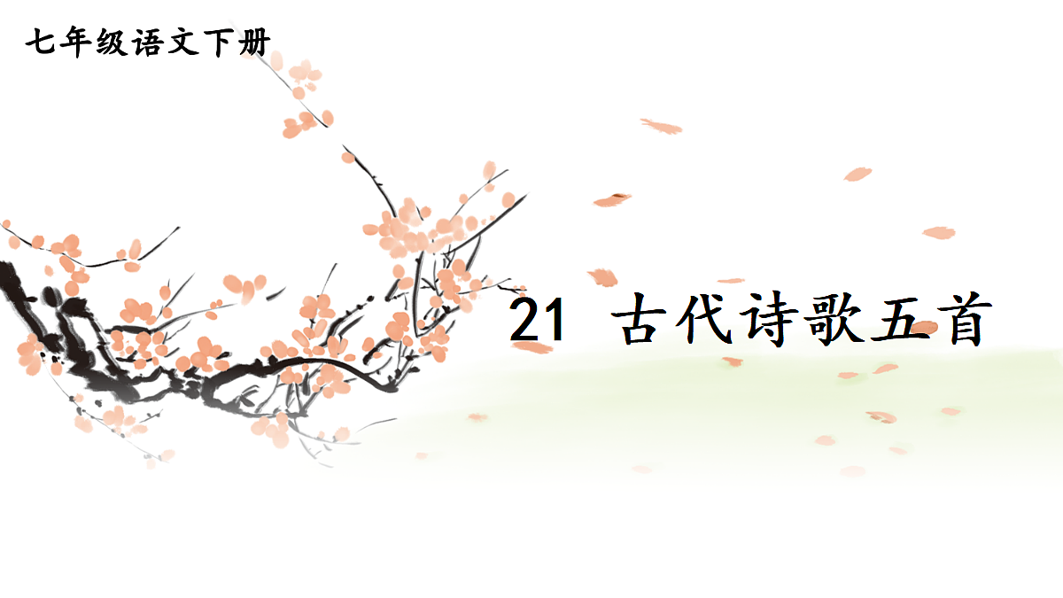 18184346第1页