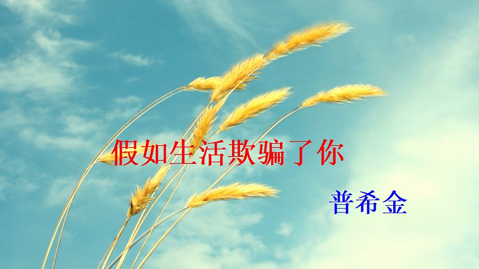 18184407第3页