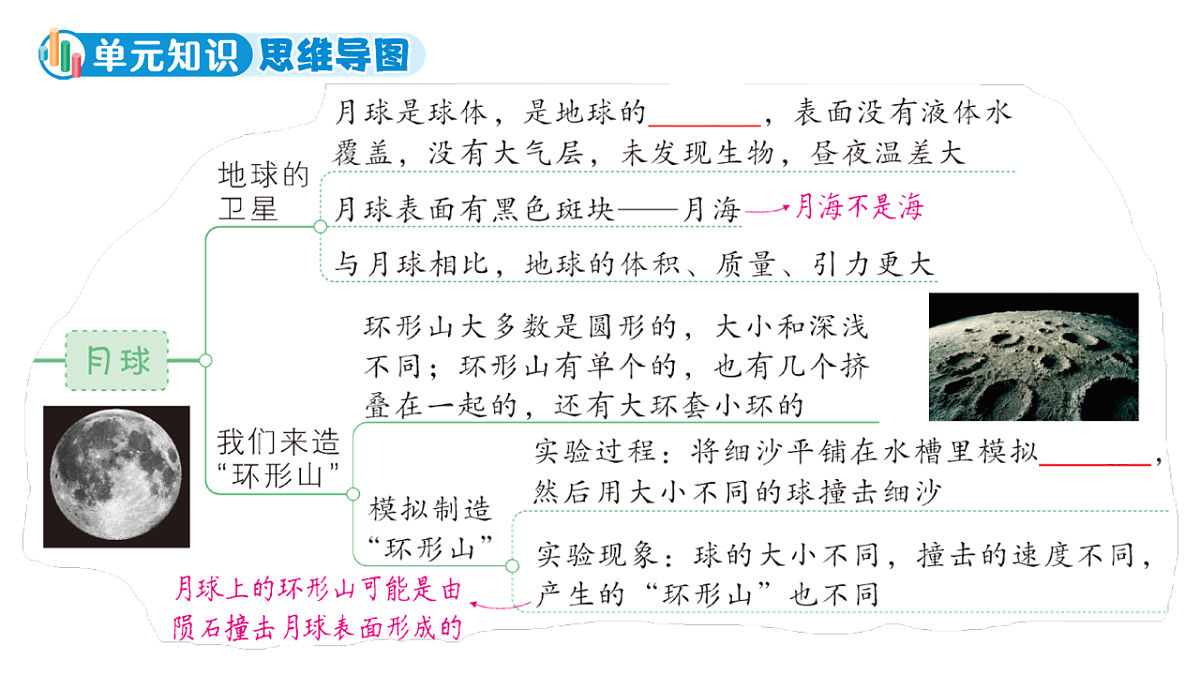 18184436第3页