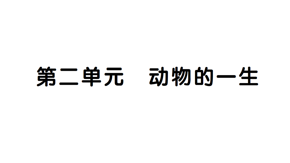 18184441第1页