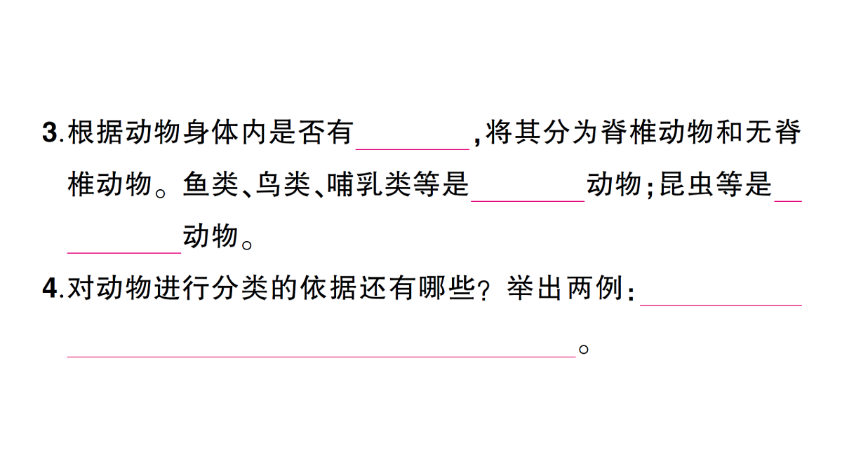 18184441第3页