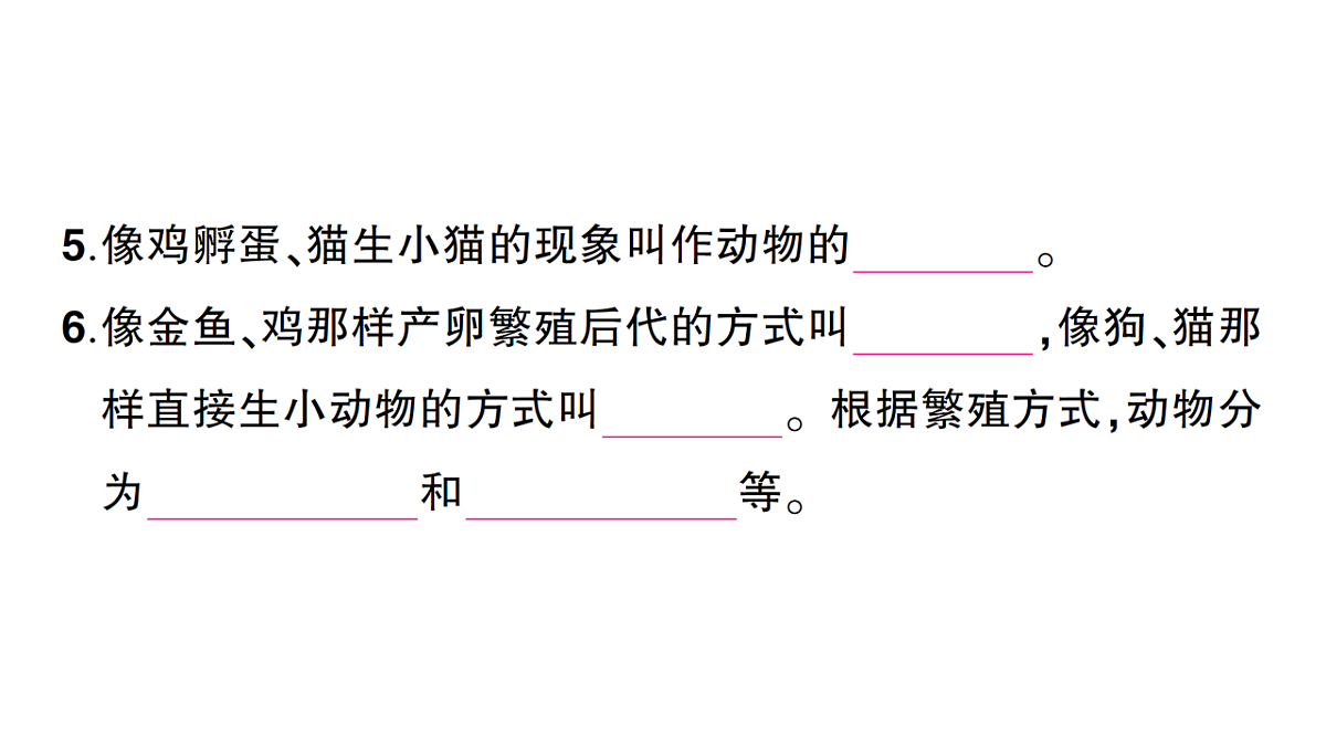 18184441第4页