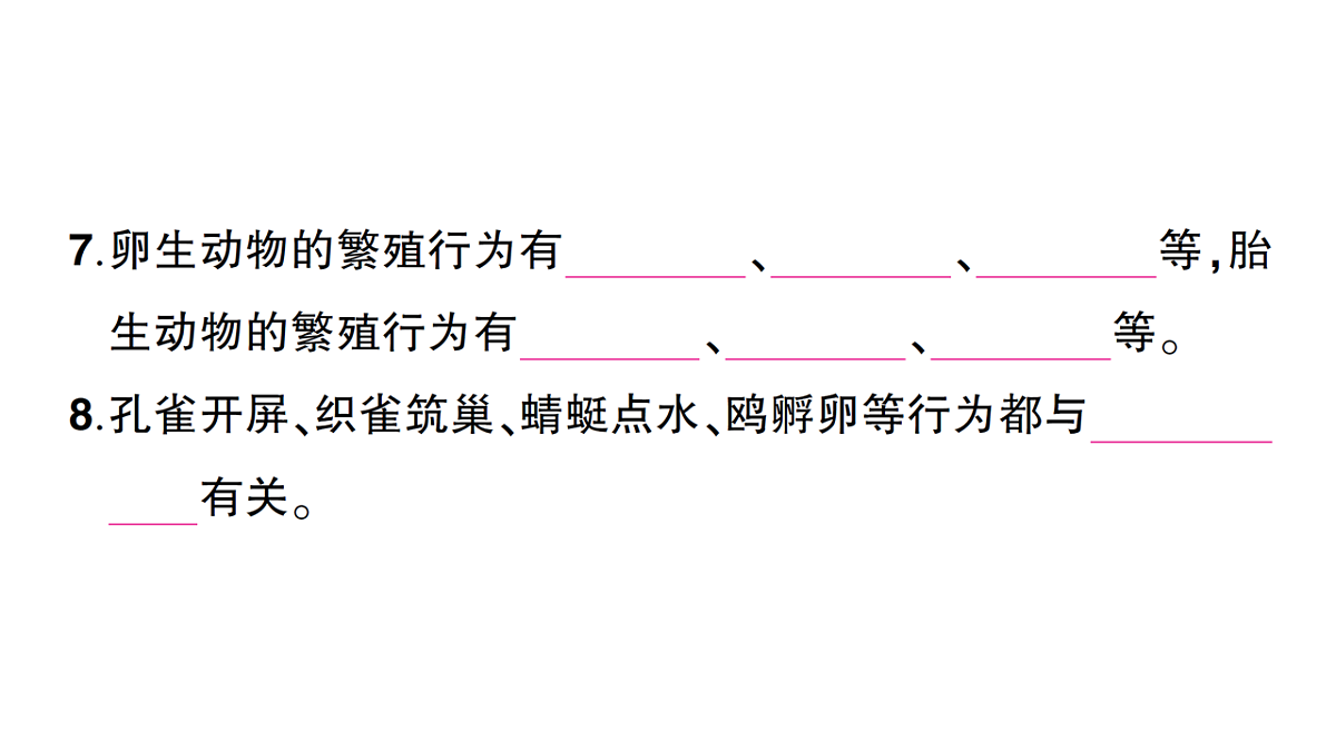18184441第5页