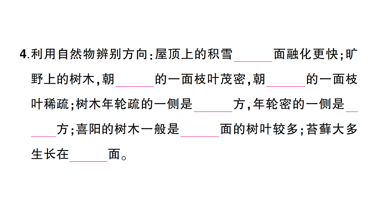 18184443第4页