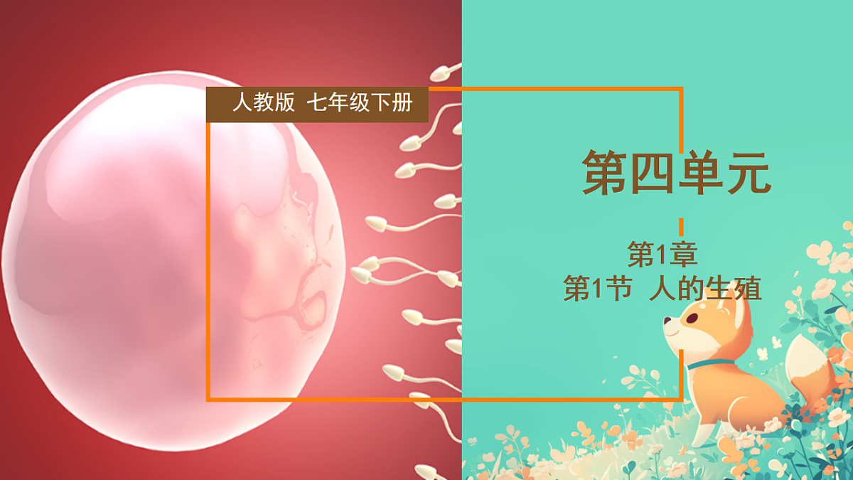 18184684第1页