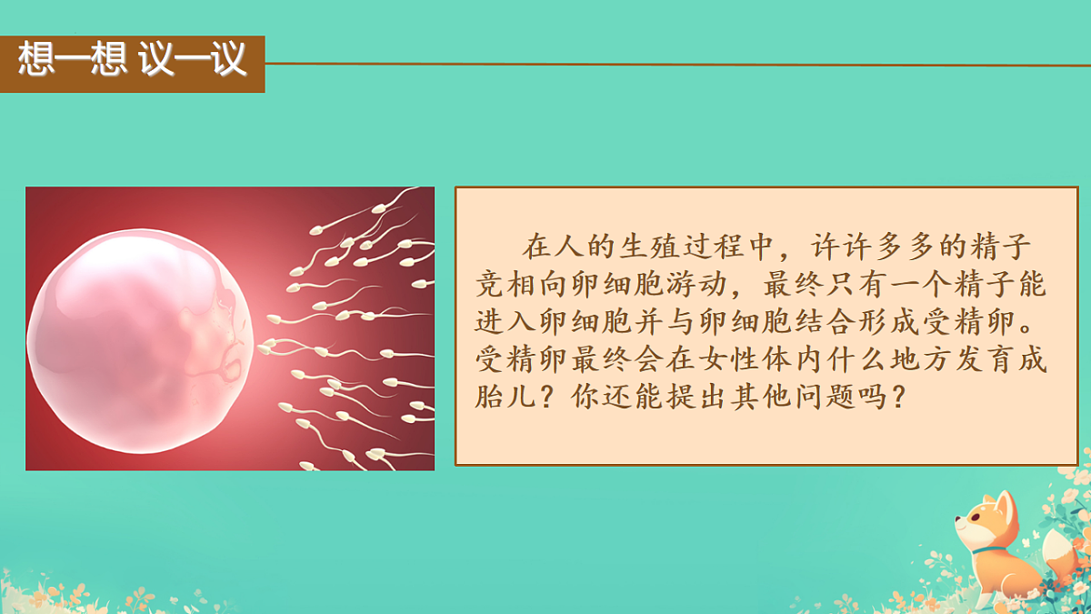 18184684第2页
