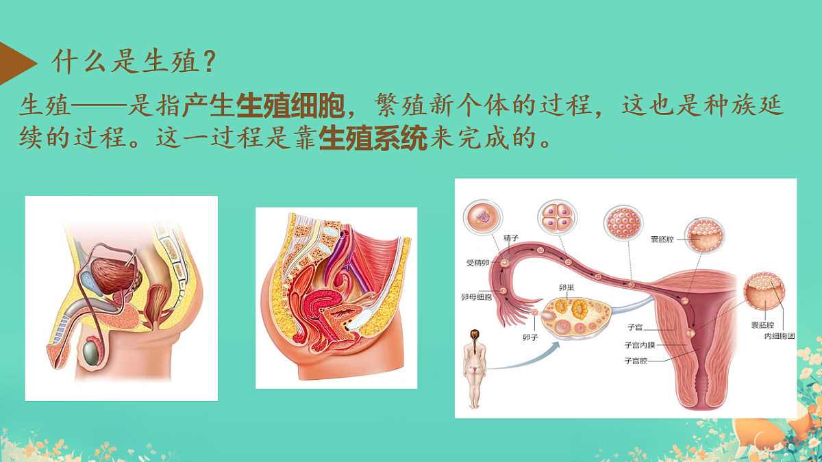 18184684第3页