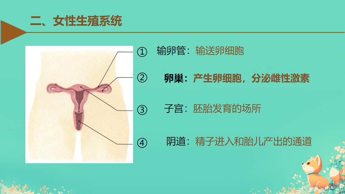 18184684第6页