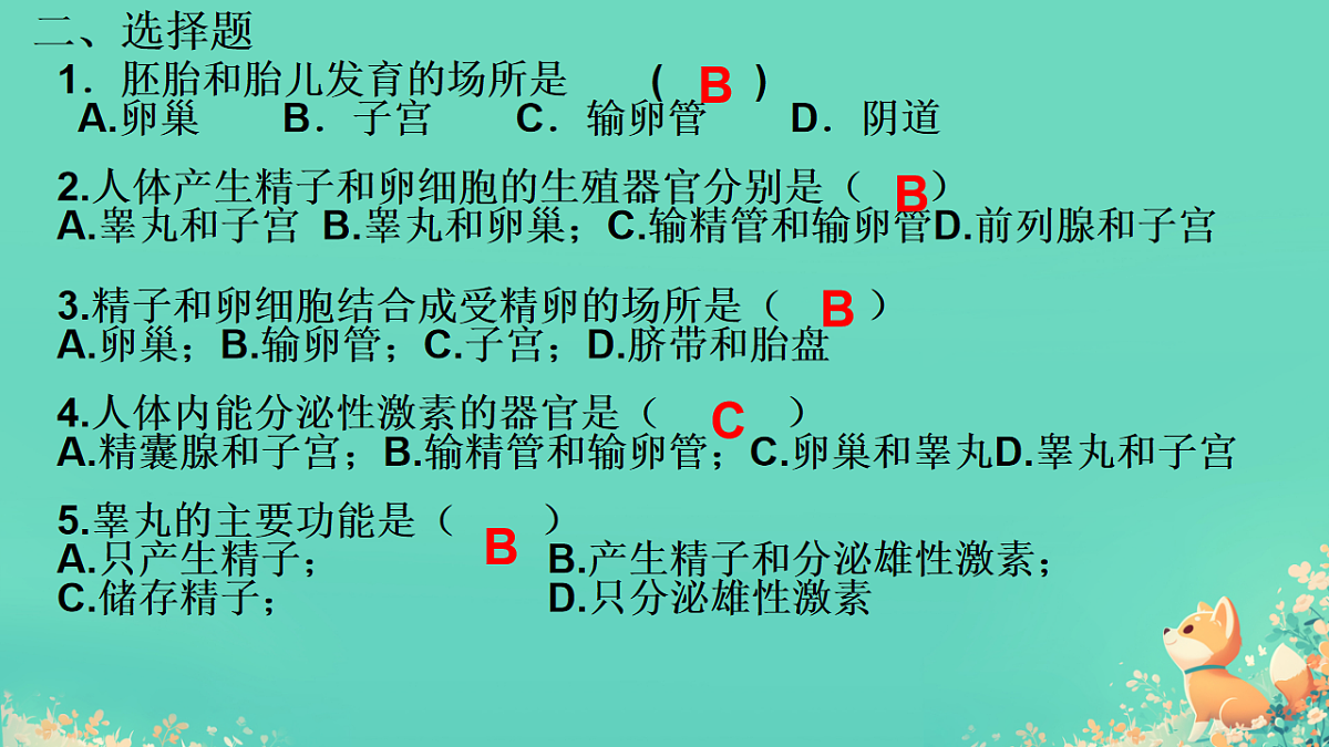 18184684第8页
