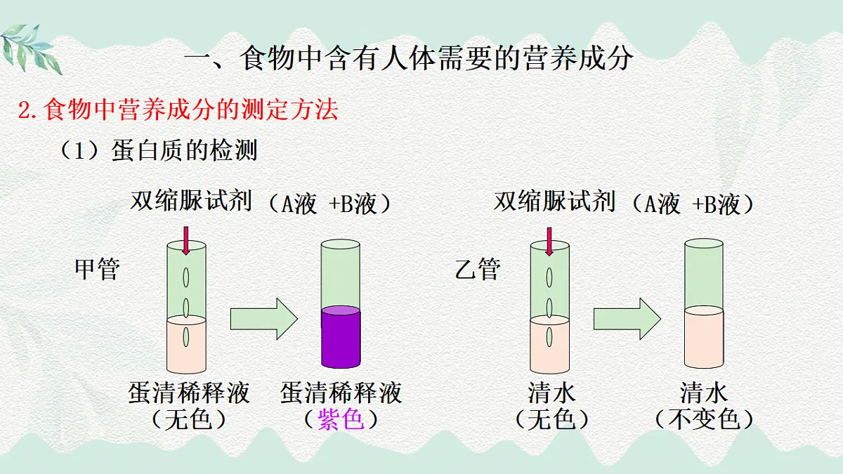 18184693第4页