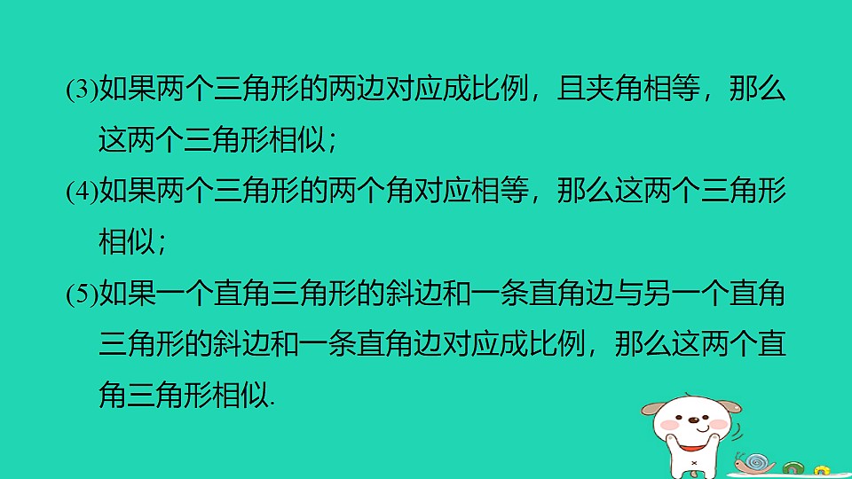 18185095第4页