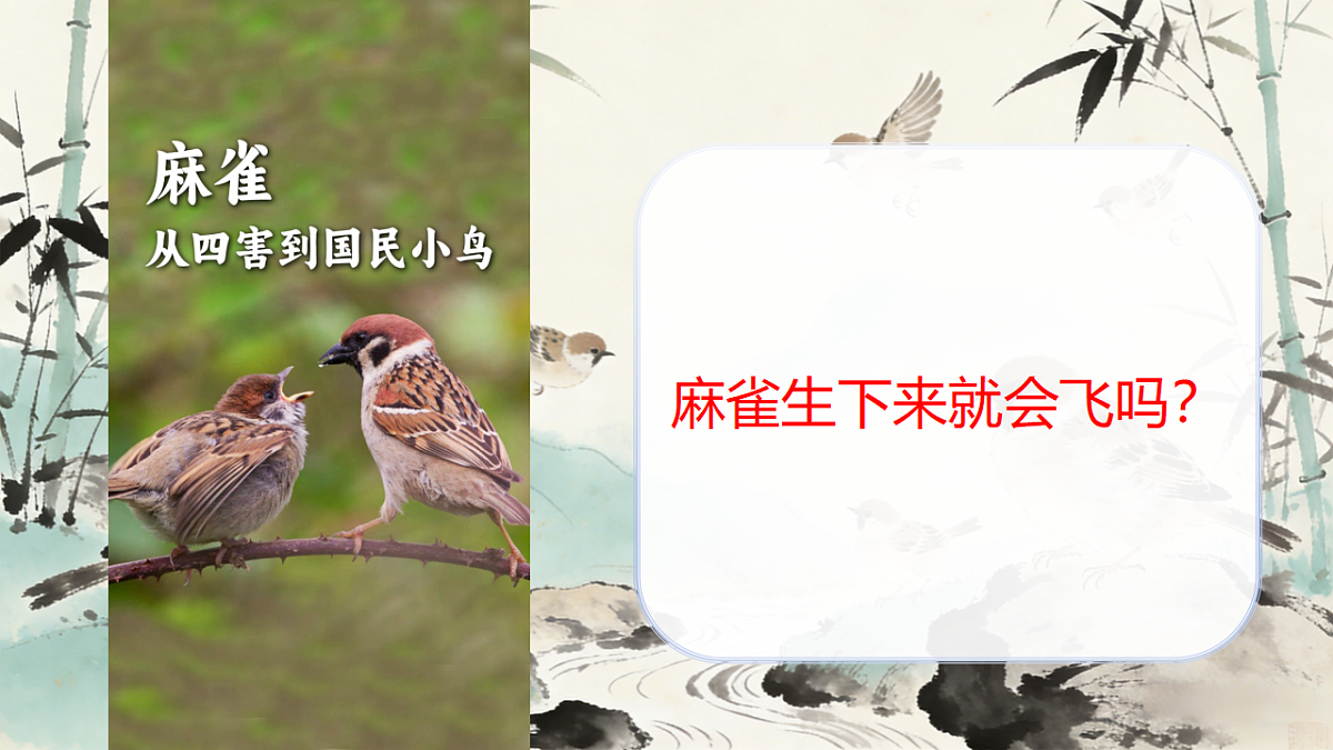 18185178第3页