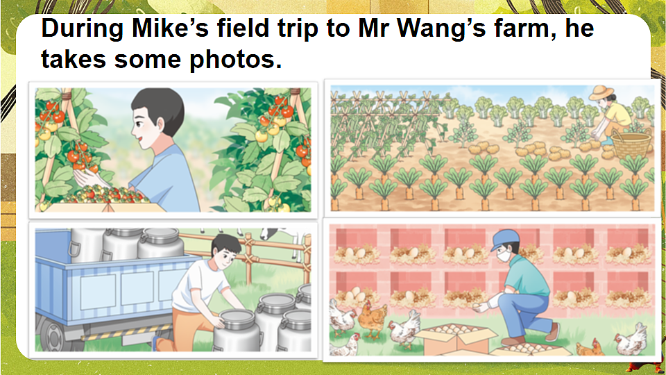 18185955第5页