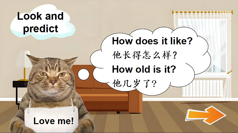 18185998第4页