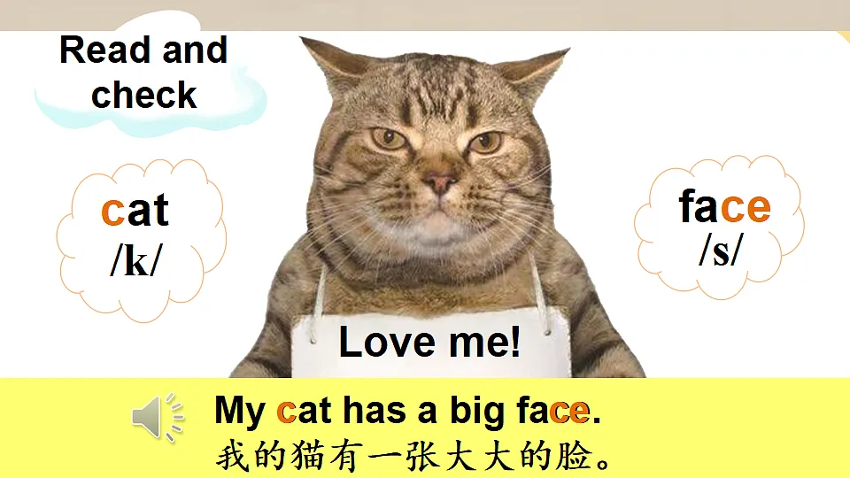 18185998第6页