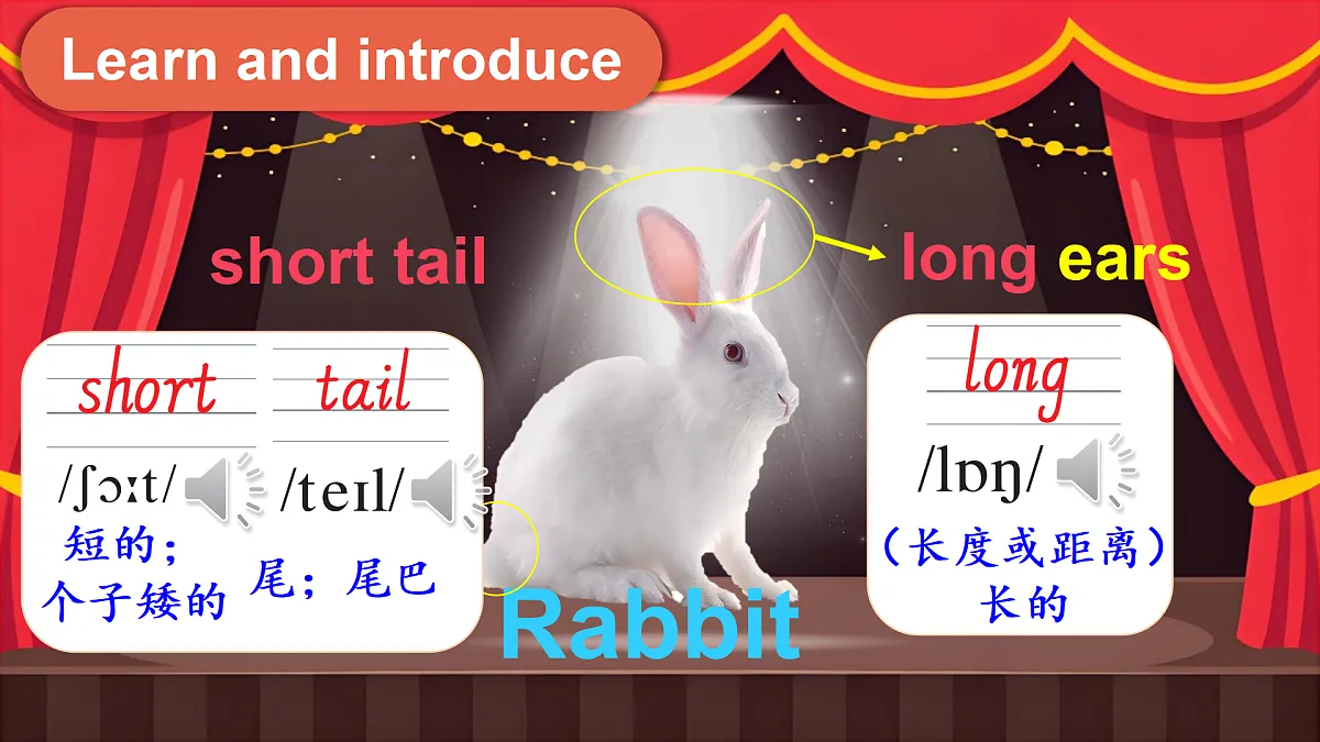 18186219第5页